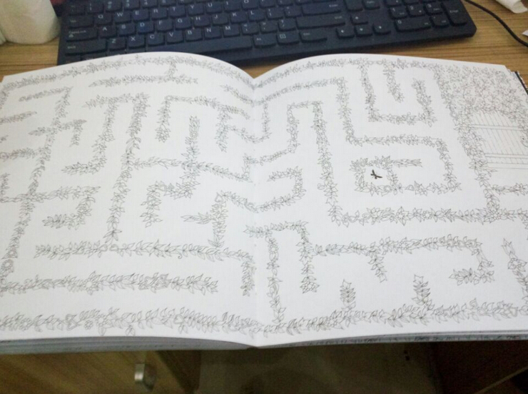 สมุดภาพระบายสี Secret Garden สวนปริศนา (Korean.ver) พร้อมสีไม้