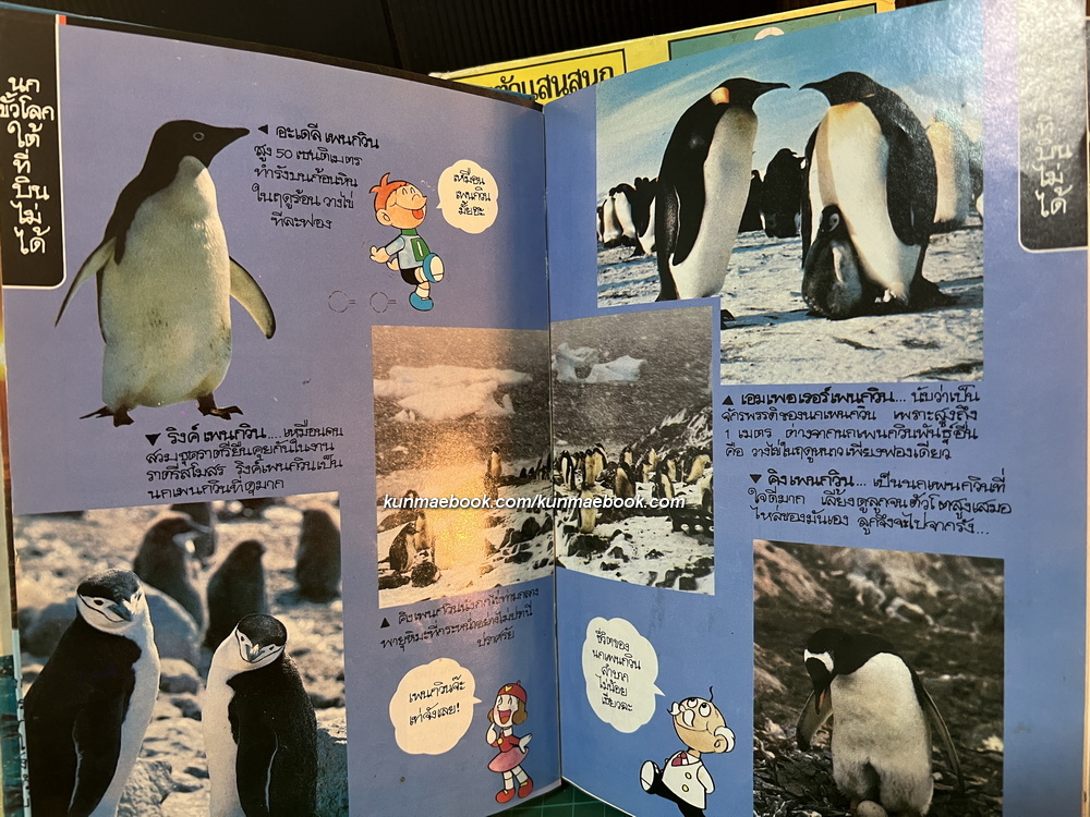 รู้รอบตัวแสนสนุก รวม 9 เล่ม