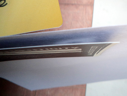 นามบัตรพีวีซีการ์ด นามบัตรแนะนำธุรกิจ