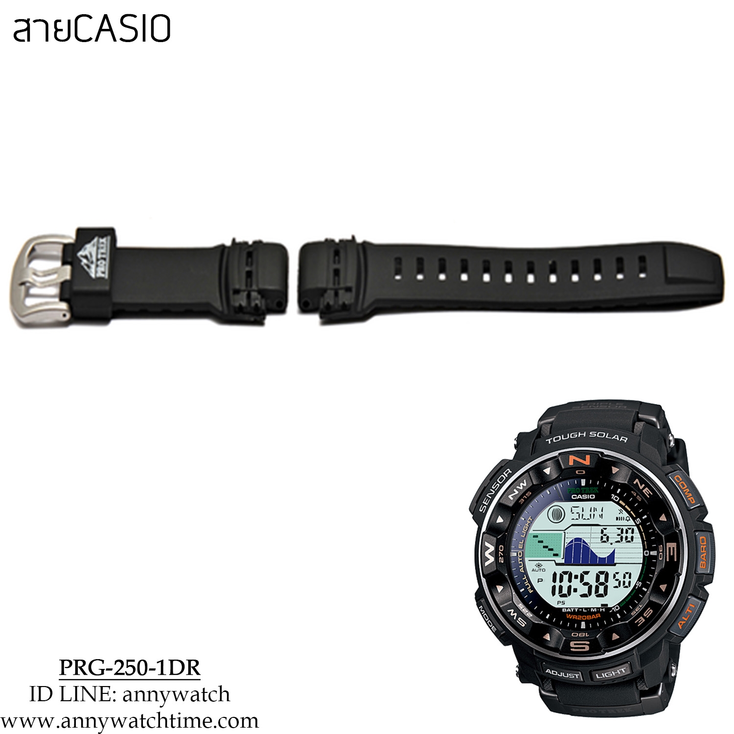 สายCASIO PRG-250-1DR