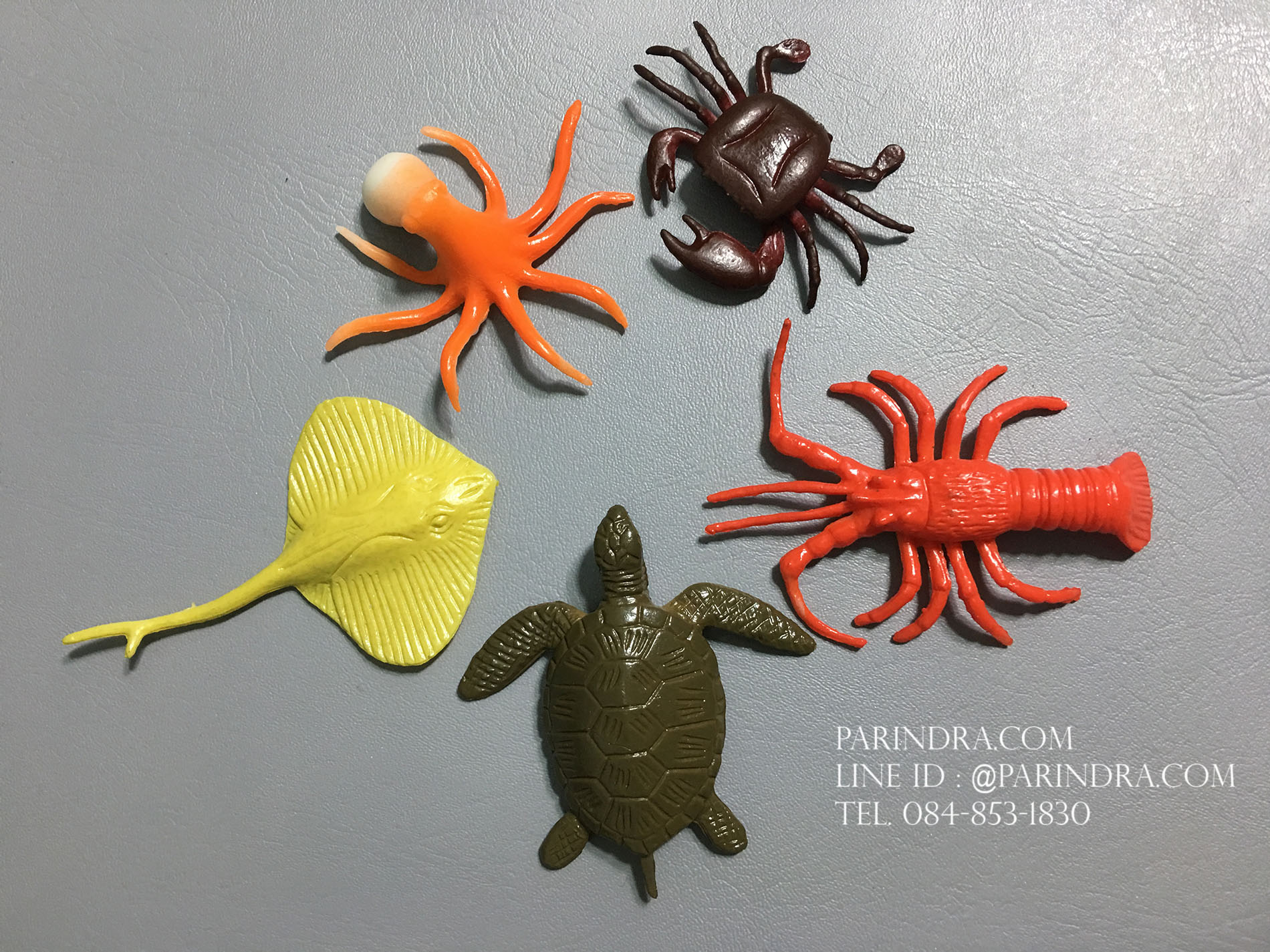 โมเดลสัตว์ทะเล MARINE Animal 11 ชนิด