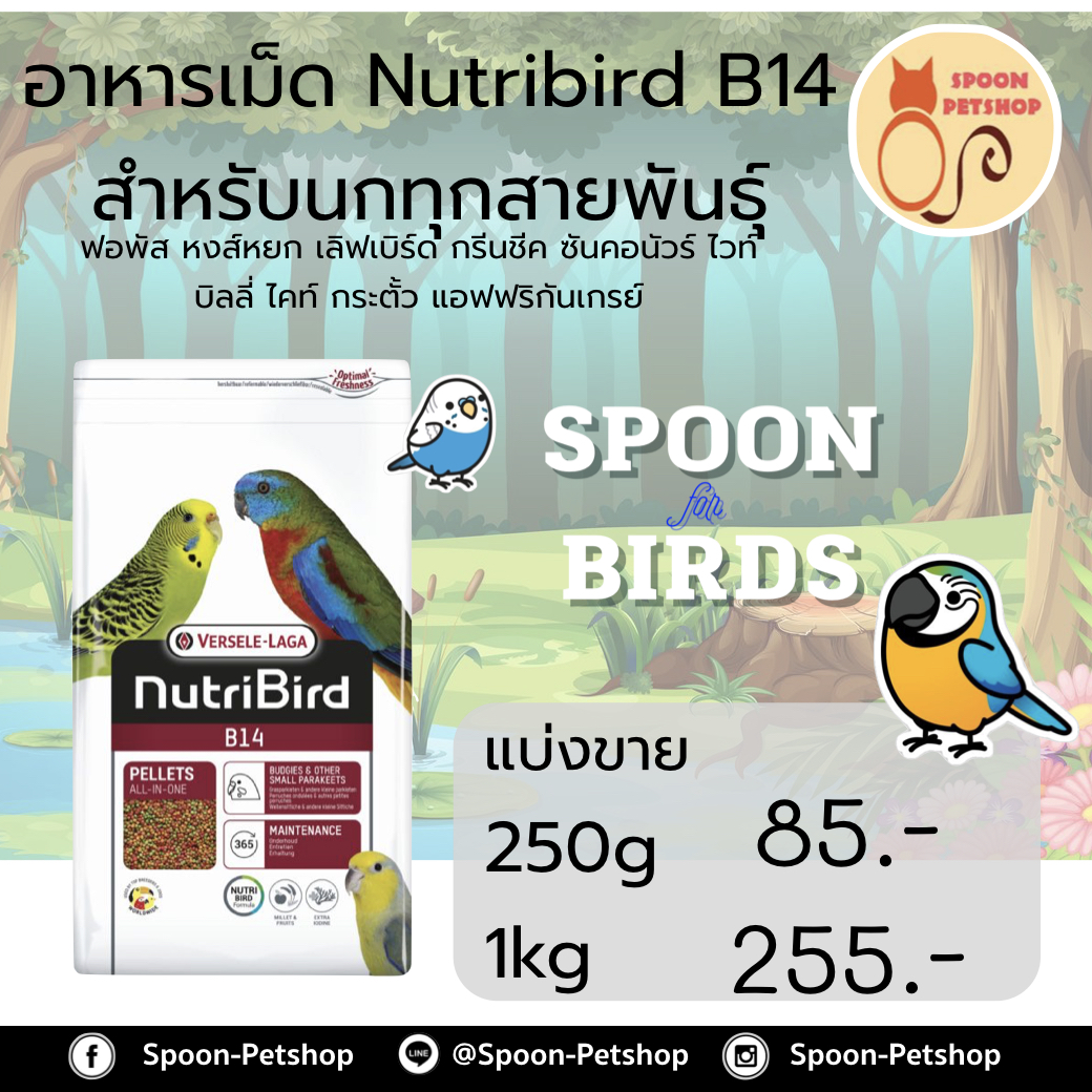 Nutribird B14 อาหารนก (รุ่นใหม่) แบ่งขาย สำหรับนกไซส์เล็ก เหมาะกับหงส์หยก เลิฟเบิร์ด ฟอร์พัส ค็อกคาเทล