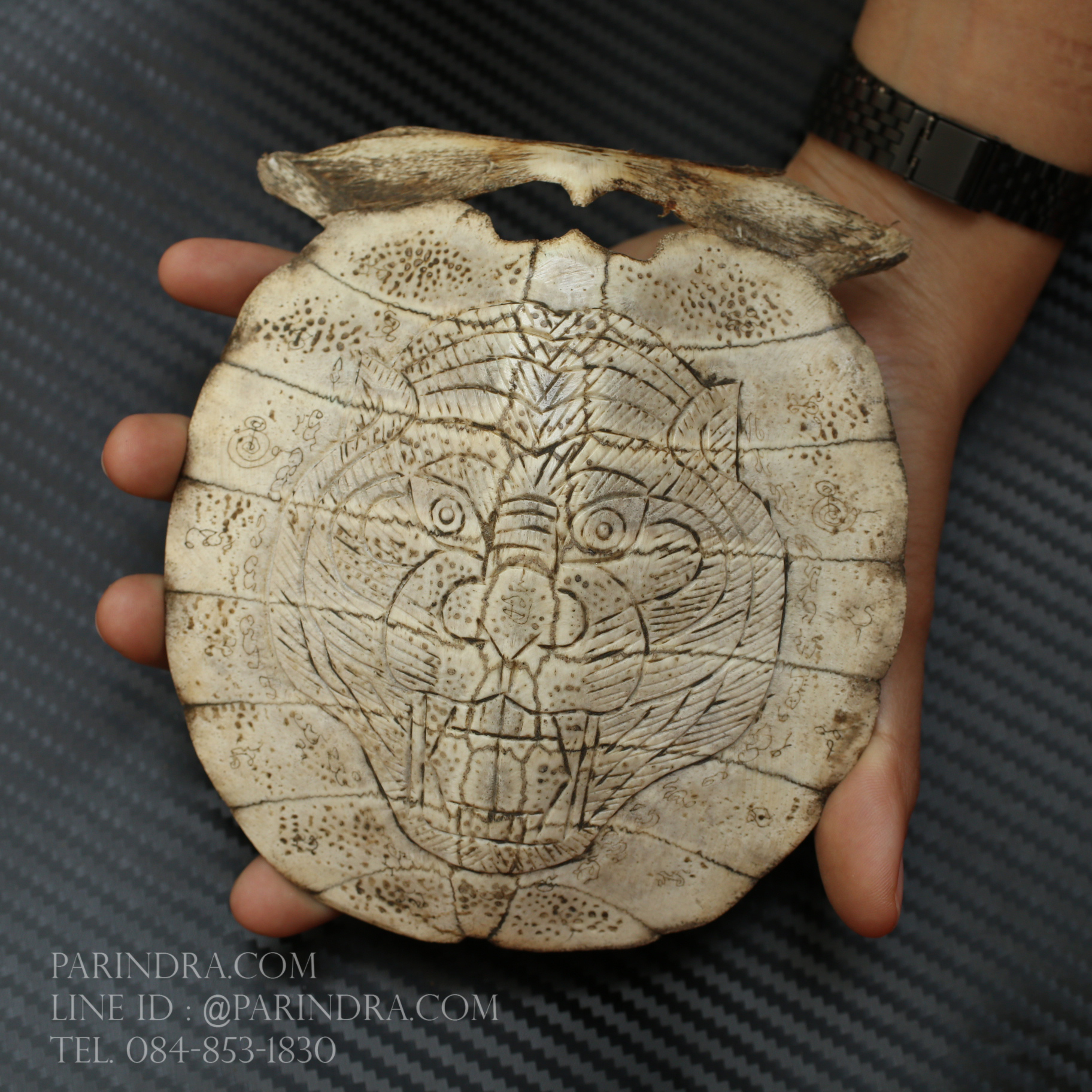 กระดองตะพาบน้ำ แกะสลัก จานอักขระ งานเก่าโบราณ น่าสะสม