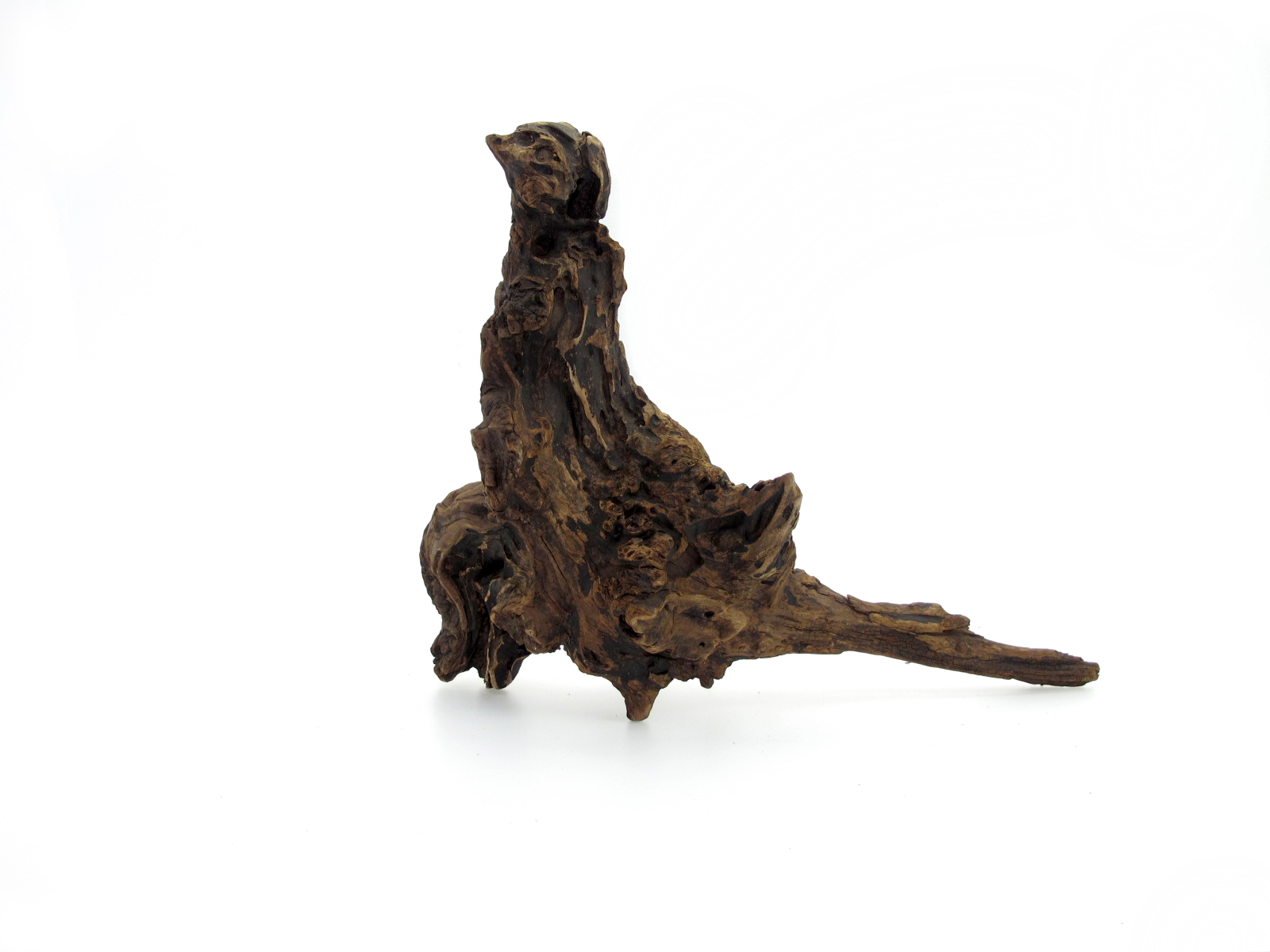 ขอนไม้ตกแต่งตู้ปลาหรือใช้เลี้ยงสัตว์เลื้อยคลาน 056