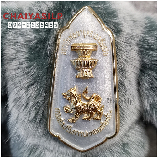 เข็มวิทยะฐานะ สถาบันพัฒนาบุคลากรท้องถิ่น (สพบ.)