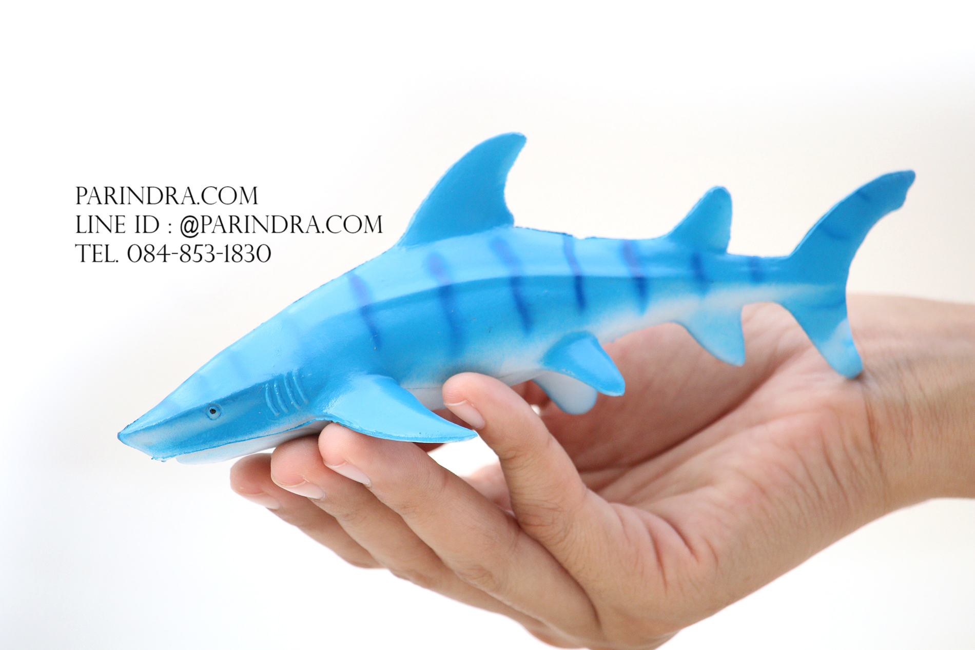 โมเดลสัตว์ทะเล ชุด Ocean World กลุ่มปลาฉลามหลากหลายสายพันธุ์