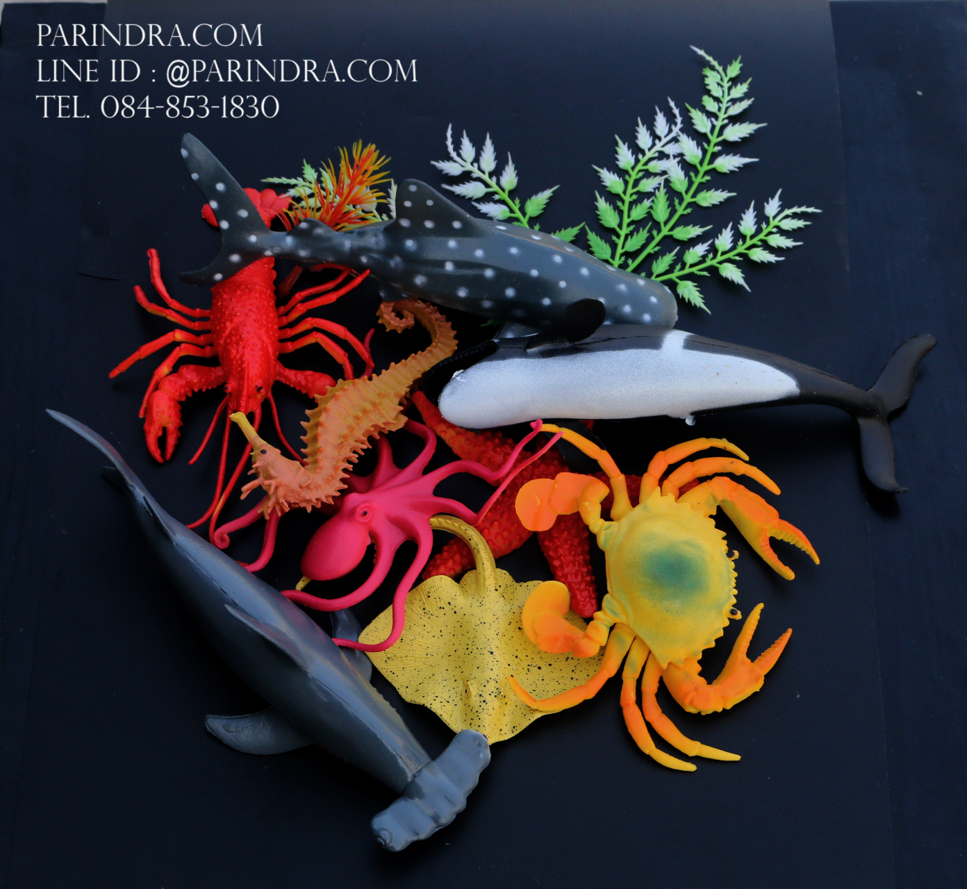 โมเดลสัตว์ทะเล Sea Animal 9 ชนิด
