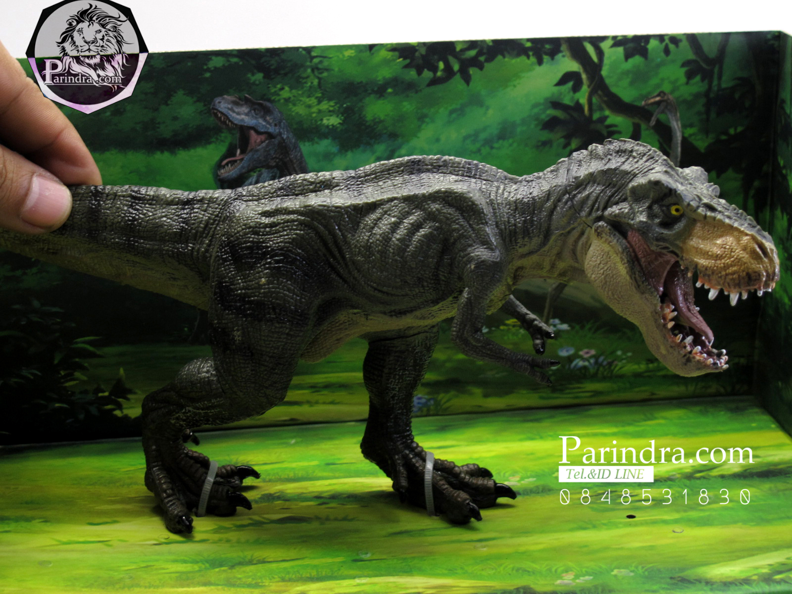 โมเดลไดโนเสาร์ Collection Dinosaur World