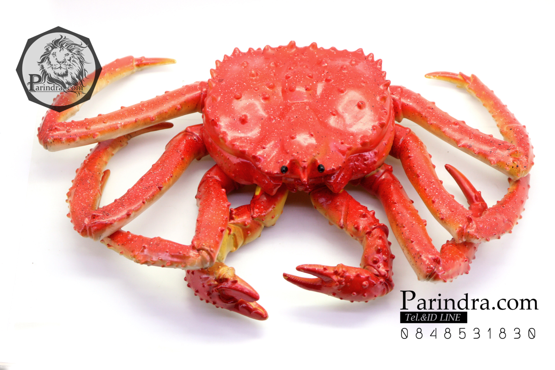 โมเดลปูอะลาสก้า Alaska Crab ตั้งโชว์สวย ขนาดใหญ่ 14 นิ้ว
