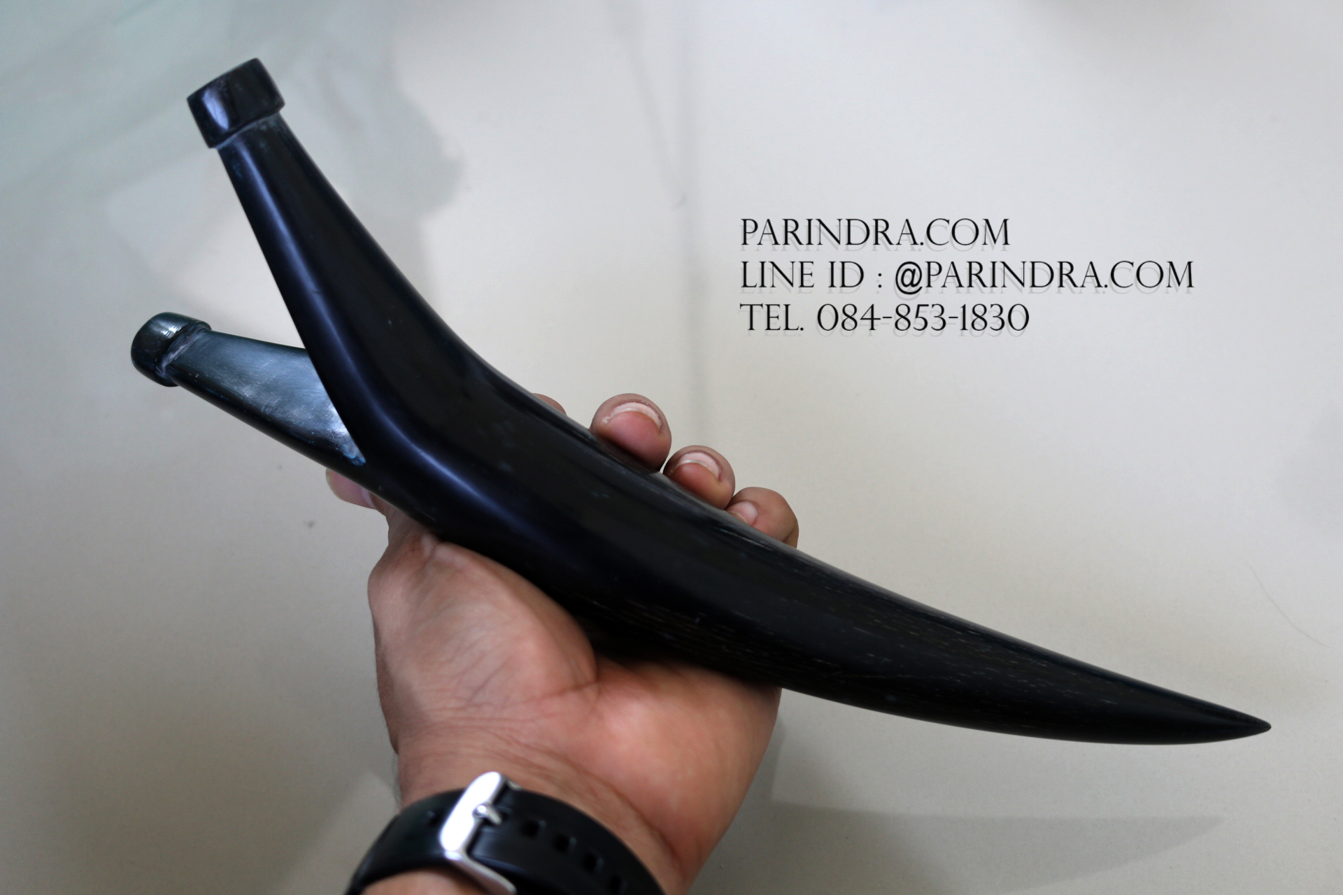 หนังสติ๊กเขาควายตัน สีดำสนิท โค้งงอ เข้ารูปสวยงาม #BAF002