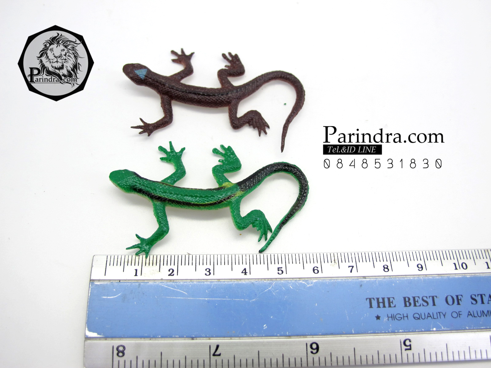 โมเดลกิ้งก่า Educational Toys LIZARD ครบชุด มี 12 แบบ จำนวน 12 ตัว