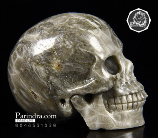 หินแร่ CORAL FOSSIL แกะสลักรูปหัวกระโหลก #SKC002