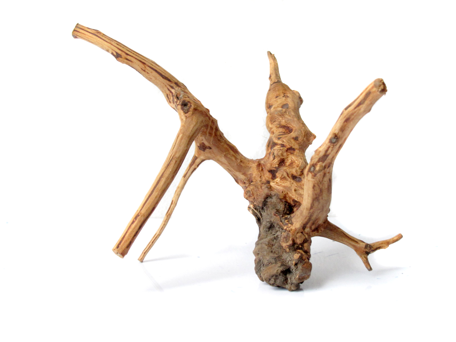 ขอนไม้ตกแต่งตู้ปลาหรือใช้เลี้ยงสัตว์เลื้อยคลาน 013