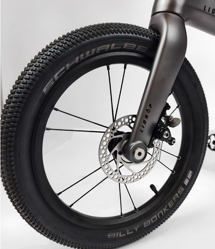 Lidrop Happy Pet จักรยานพับ เฟรมคาร์บอน ล้อขนาด 16 นิ้ว | Shuntai SENSAH 5 สปีด น้ำหนักเบา 7.8 กก. | รุ่น Pro