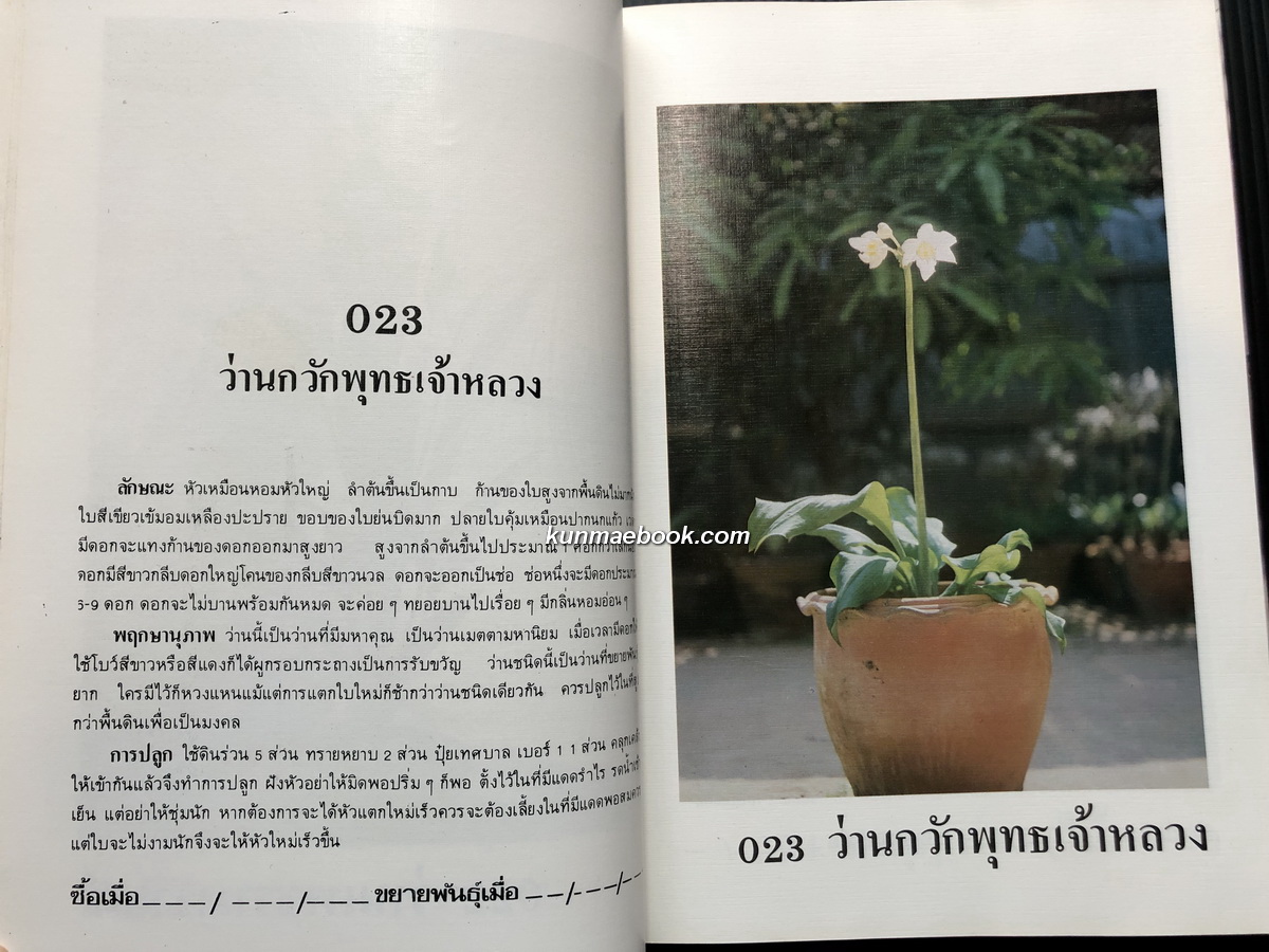 คัมภีร์ว่านและไม้มงคล (ฉบับสมบูรณ์) ผลงานของ สนั่น ทวีสมบัติ