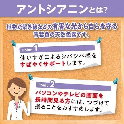 DHC สารสกัดบลูเบอร์รี่บำรุงสายตา 120 เม็ด สำหรับ 60 วัน