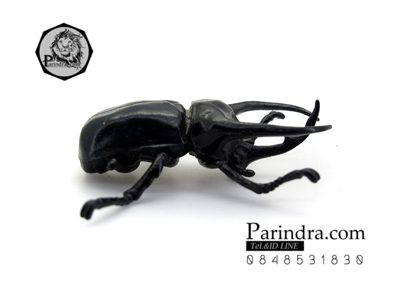 โมเดลด้วง ชำรุด