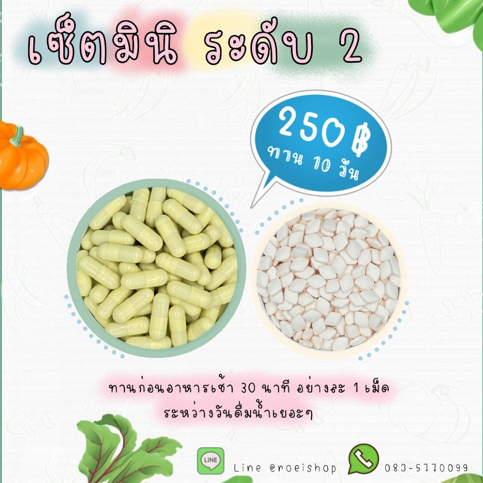 เซ็ตมินิ ดื้อยาระดับ 2