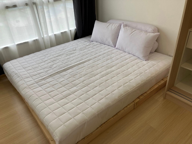 ให้เช่าคอนโด พลัม รังสิต เฟรช ตึก A 26.77 ตร.ม.เฟอร์ครบ มีเครื่องซักผ้า ใกล้ ม.กรุงเทพ