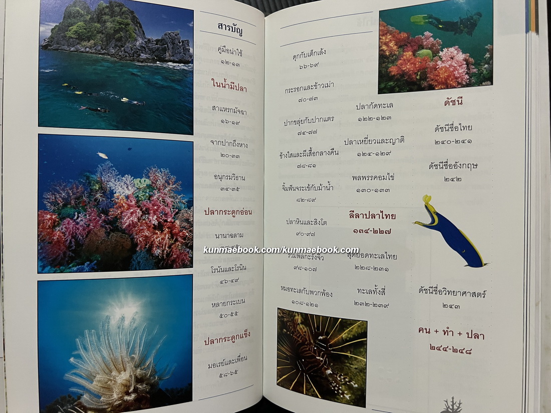 ปลาทะเลไทย เล่ม ๑ ( พร้อม CD ) โดย ธรณ์ ธำรงนาวาสวัสดิ์ และคณะ