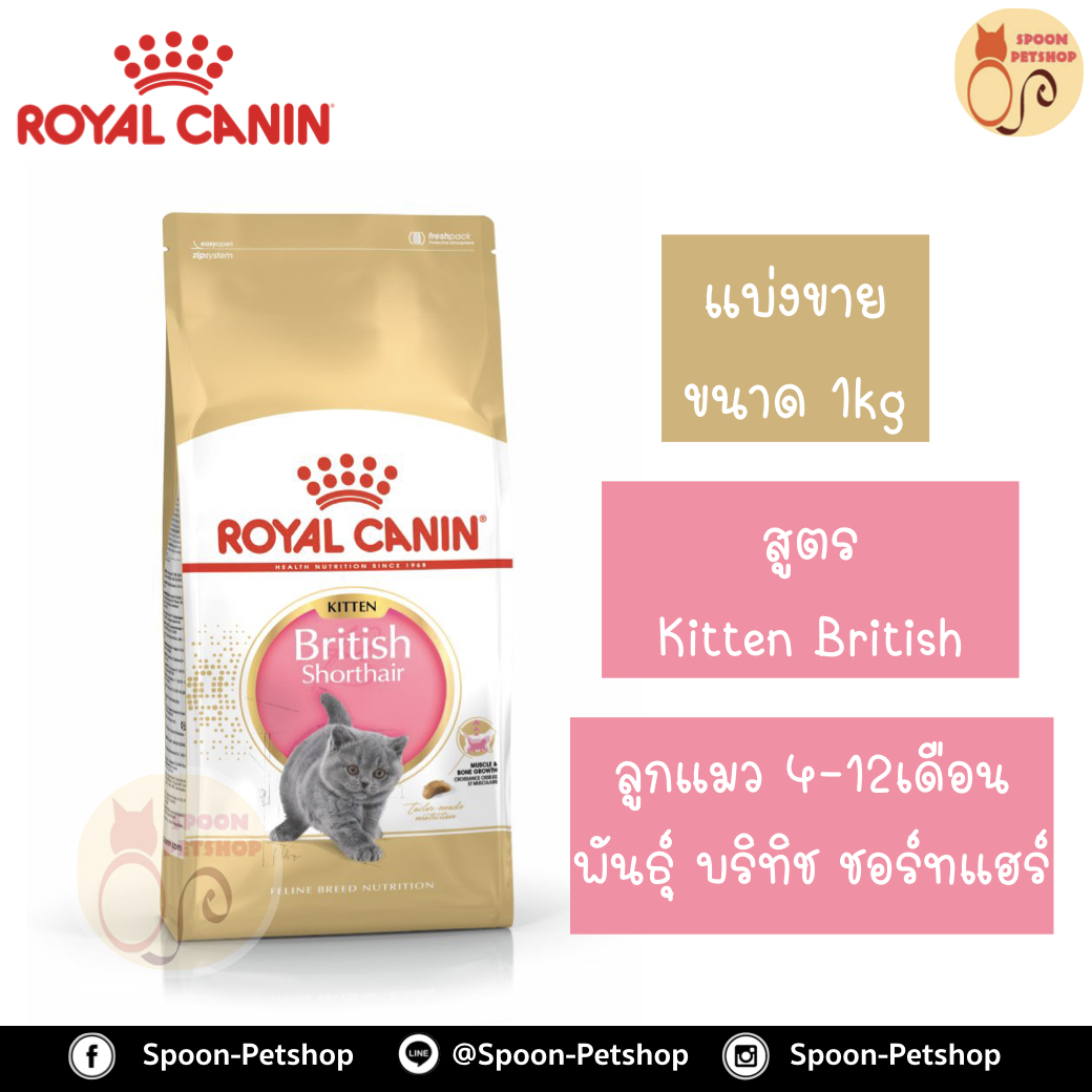 Royal Canin อาหารแมว โรยัล คานิน Kitten British Shorthair 38 แบ่งขาย 1กิโล ใส่ถุง ซิปล็อค สำหรับ ลูกแมว สายพันธุ์ บริติช ชอร์ทแฮร์