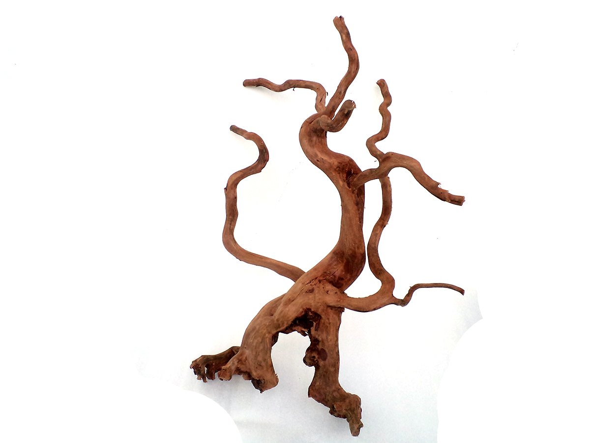 รากไม้แดงตกแต่งตู้ปลาหรือใช้เลี้ยงสัตว์เลื้อยคลาน ขนาดใหญ่ สูง 17 นิ้ว 026