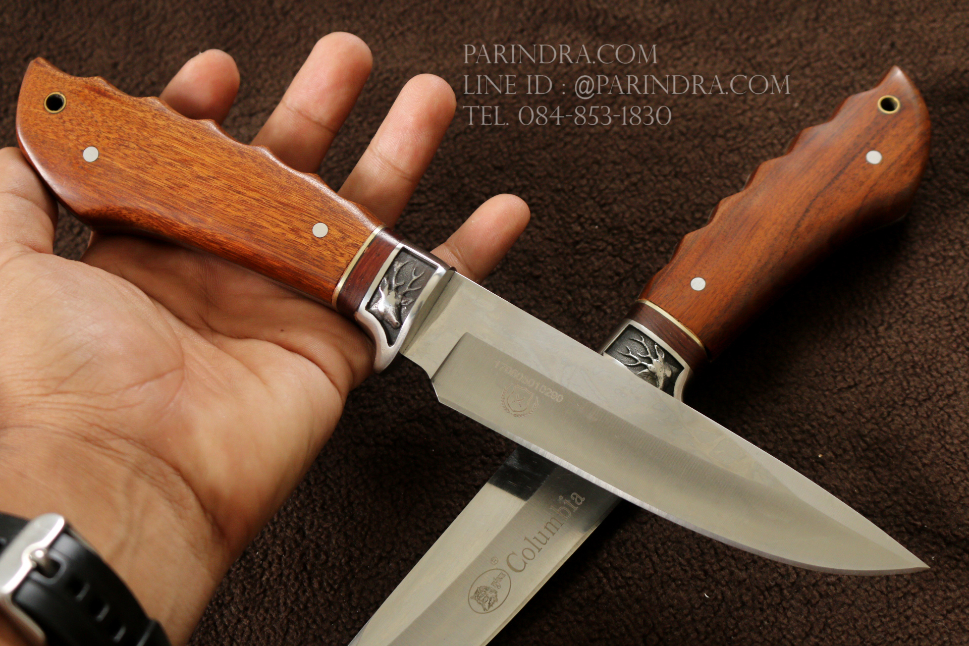 มีด Columbia A3184 ด้ามไม้คลาสสิค ขนาด 11 นิ้ว การ์ดลายกวาง