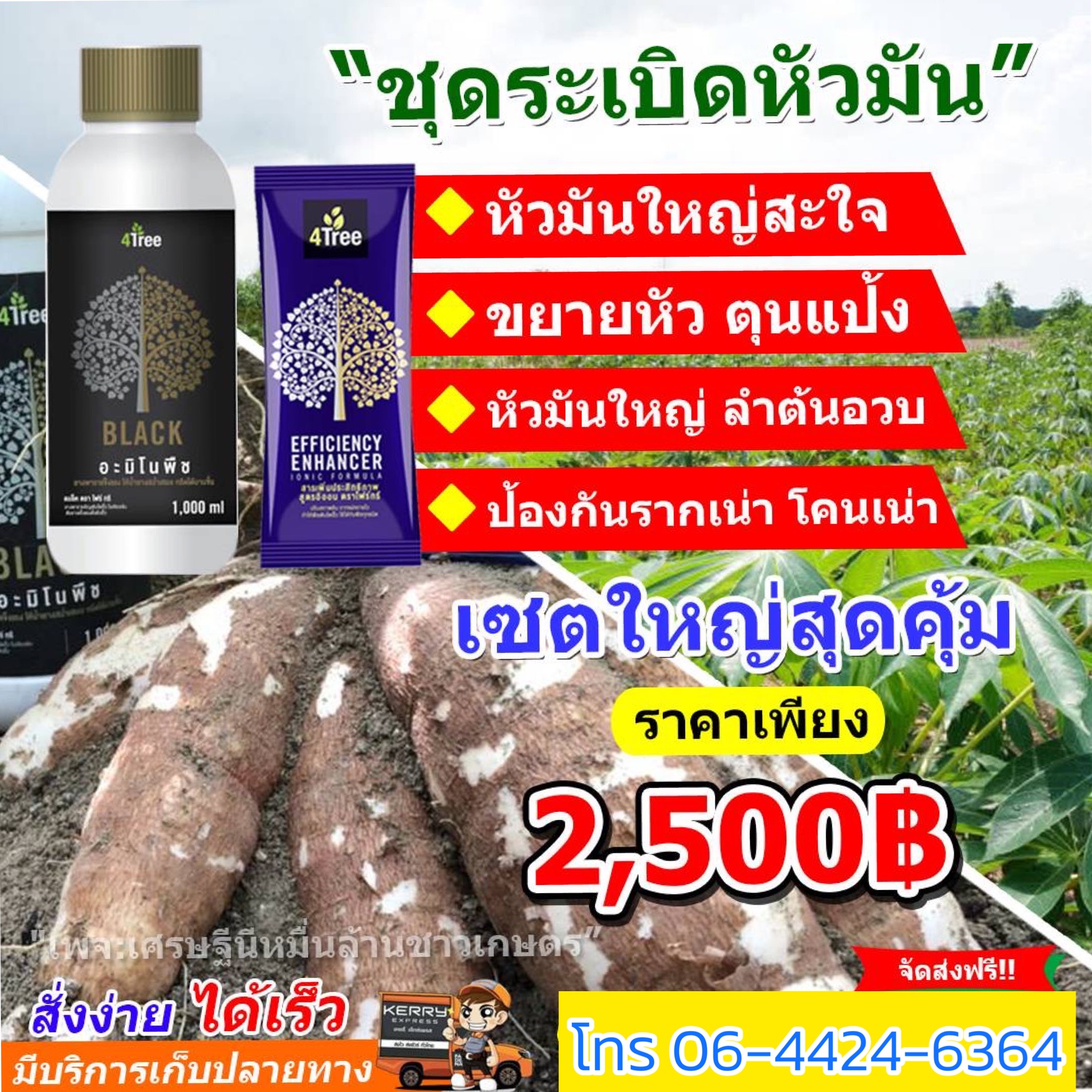 ชุดระเบิดหัวมัน สำหรับ 10 ไร่