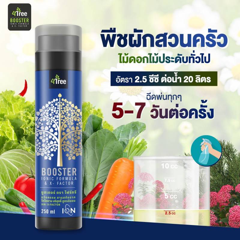 4Tree(โฟรทรี) ชุดขายดี 3 ซอง 1200บาท ปกติ 1800 ประหยัด 600 บาท