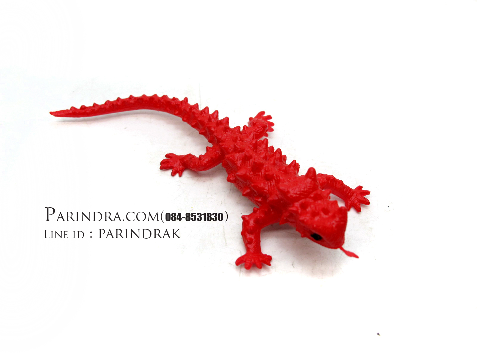 โมเดลกิ้งก่าหนามแดง