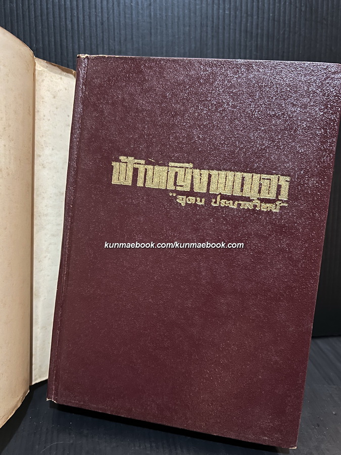 ฟ้าหญิงพเนจร ผลงานของ อุดม ประมวลวิทย์