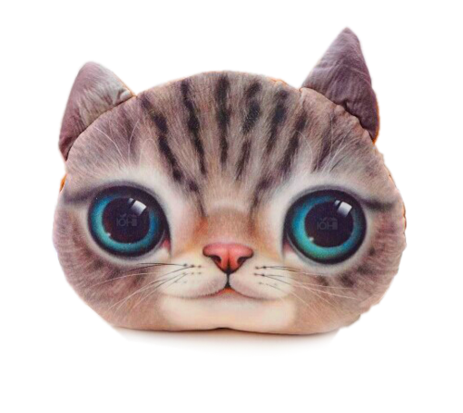 (พร้อมส่ง) หมอนหน้าน้องแมว 3 มิติ (50*40 cm.)