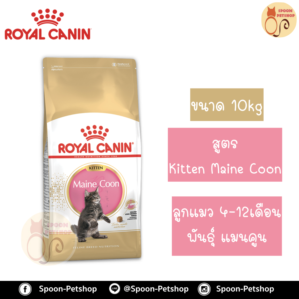 Royal Canin อาหารแมว โรยัล คานิน Kitten Mainecoon 36 สำหรับ ลูกแมว สายพันธุ์แมนคูน กระสอบ 10kg