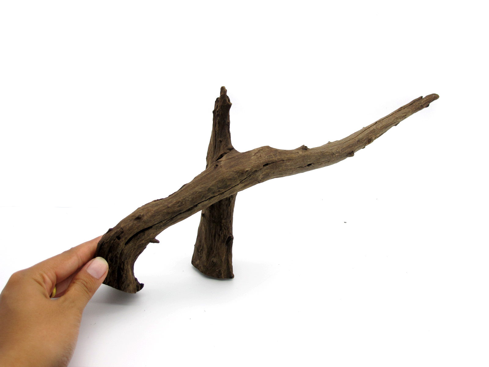 ขอนไม้ตกแต่งตู้ปลาหรือใช้เลี้ยงสัตว์เลื้อยคลาน 052