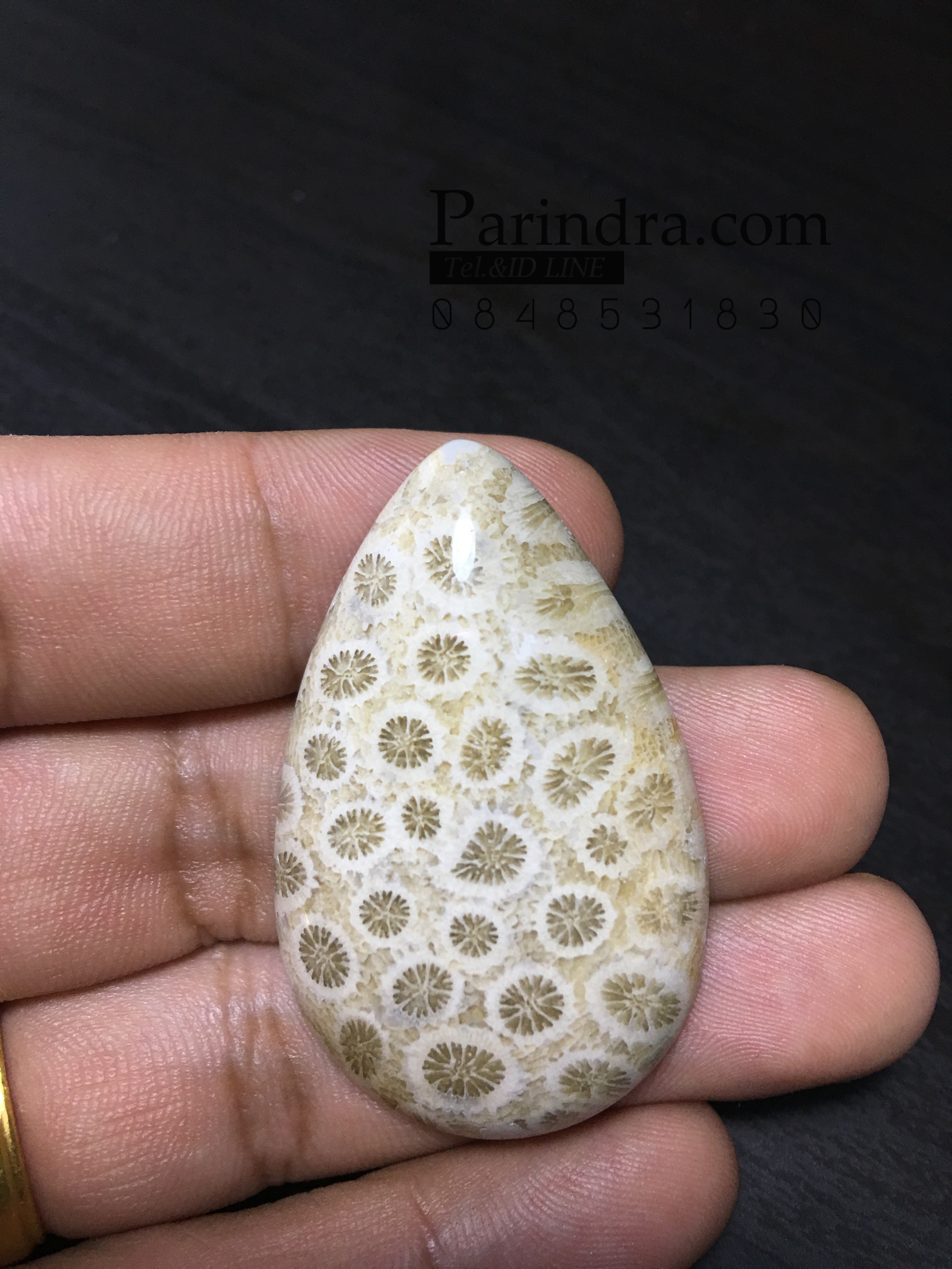 ฟอสซิลหินปะการังขัด Fossil Coral ใหญ่และหนา สำหรับห้อยคอ หรือ พวงกุญแจ คัดสวยพิเศษ #CRF033
