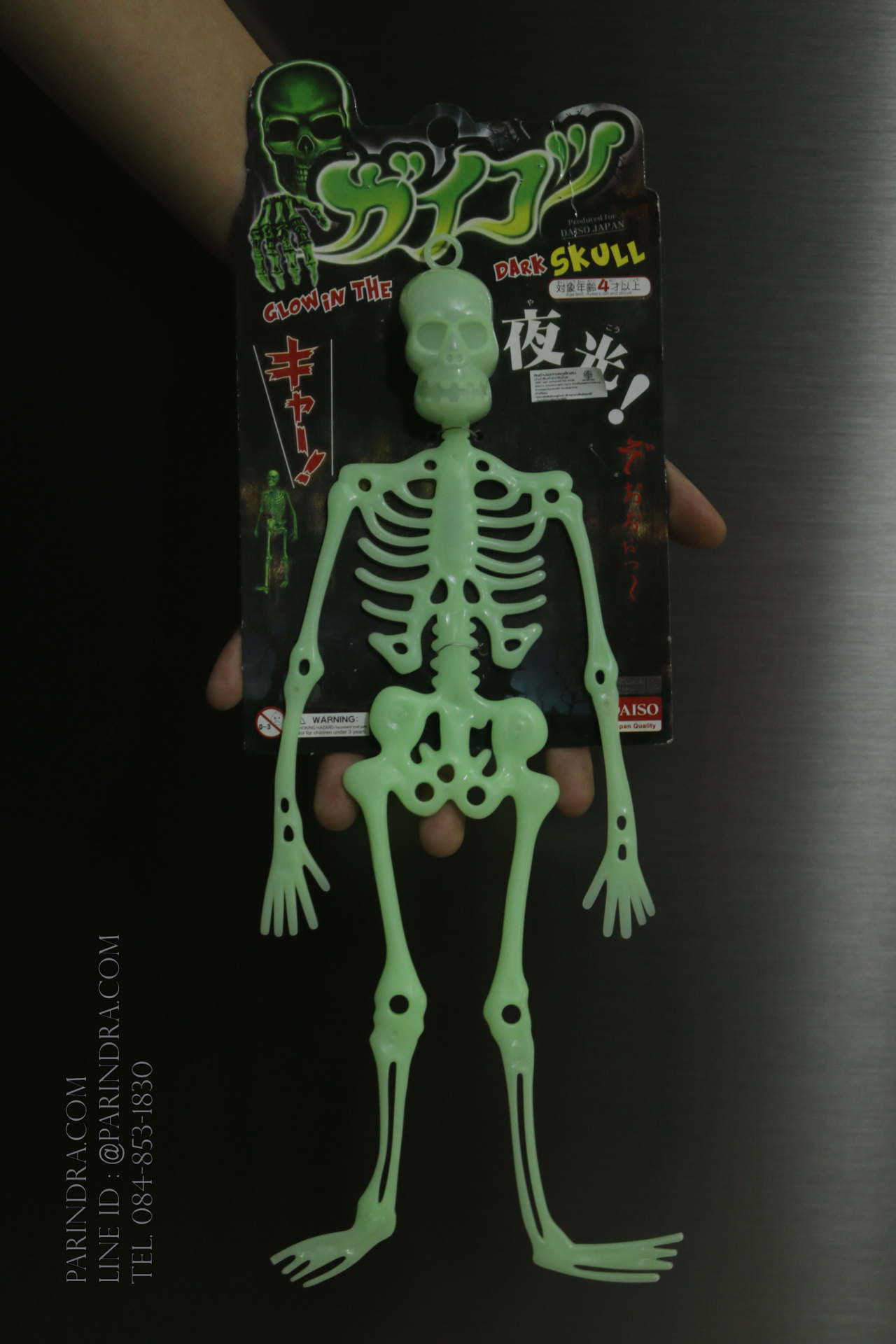 โมเดลโครงกระดูกเรืองแสง Glow in the Dark Skeleton (น้าผีเรืองแสง)