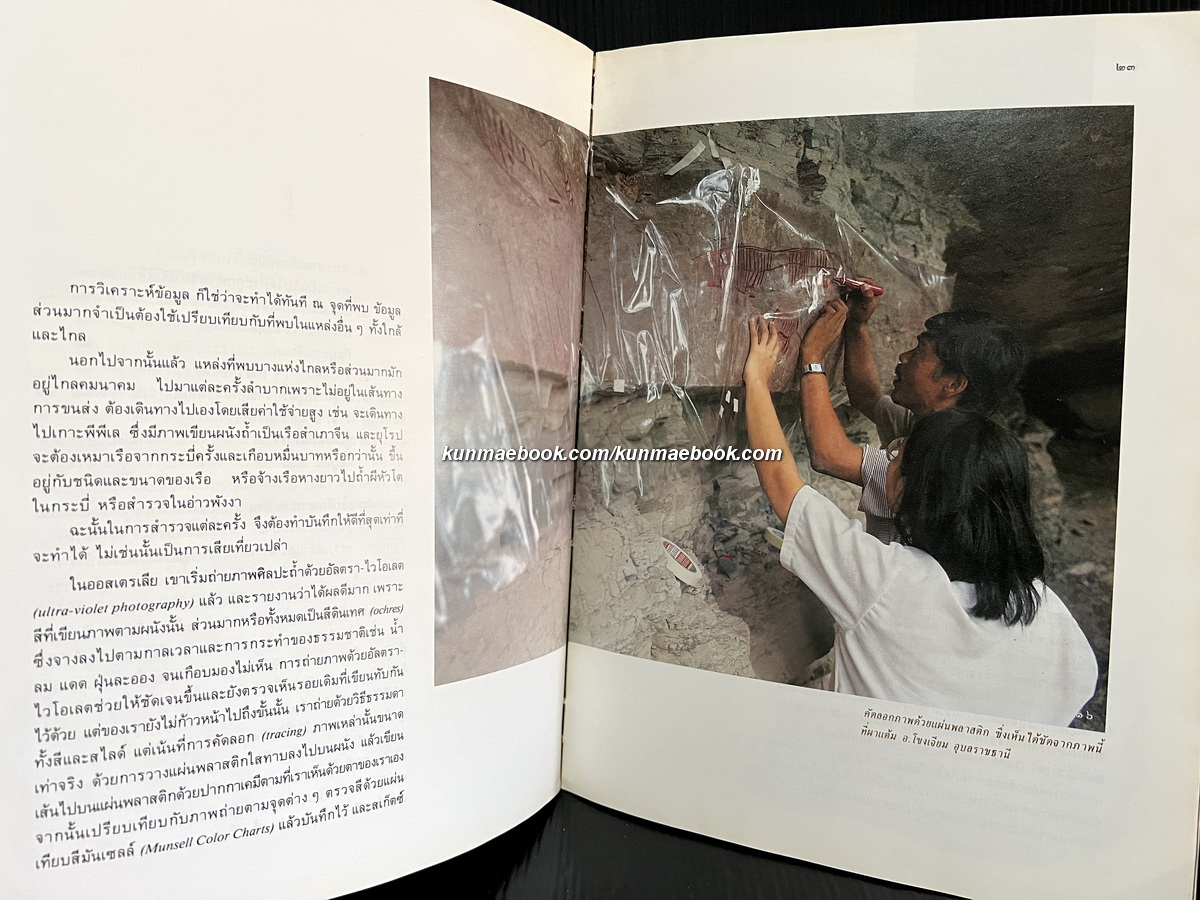 ศิลปะถ้ำในประเทศไทย ผลงานของ พิสิฐ เจริญวงศ์