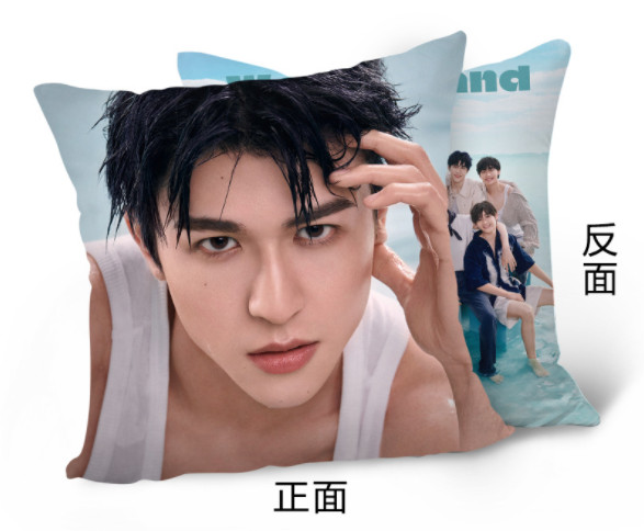 หมอน INTO1 - Wonderland