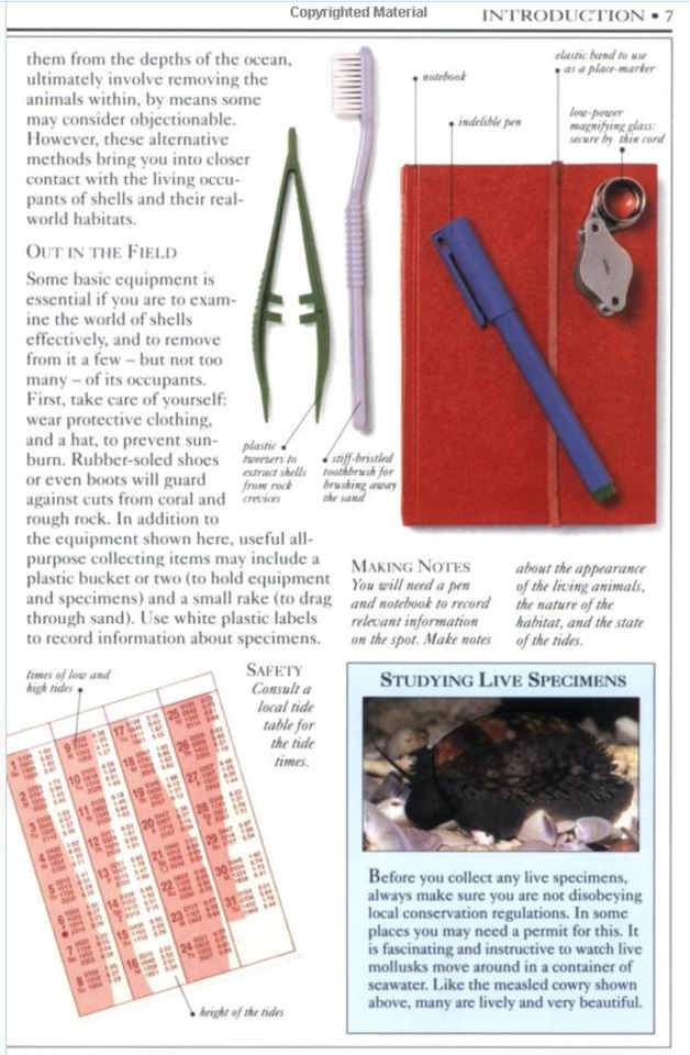 หนังสือคู่มือการสะสมเปลือกหอยของ Smithsonian Handbooks: Shells (หนังสือใหม่ มือ 1)