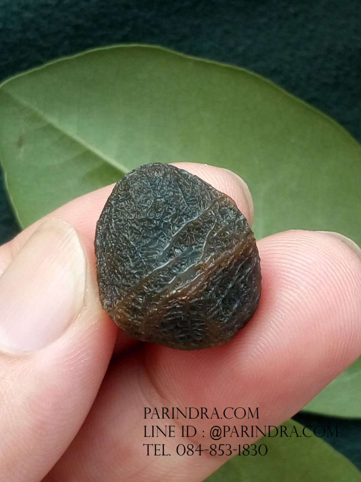 หินรูปทรงประหลาดจากทะเลทรายโกบี GOBI Eye Stone #GOBI004