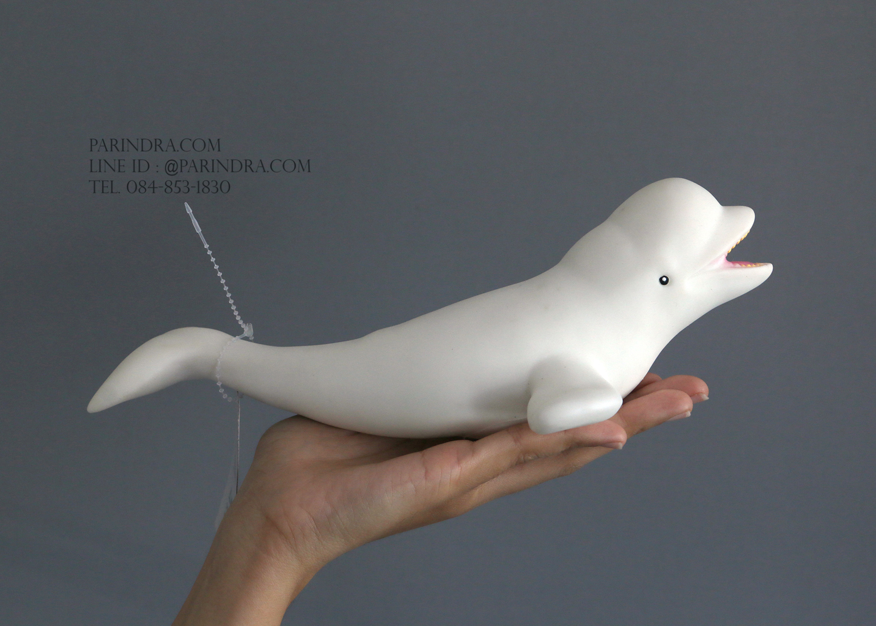 โมเดลปลาวาฬ เบลูก้า Beluga whale ขนาด 1 ฟุต
