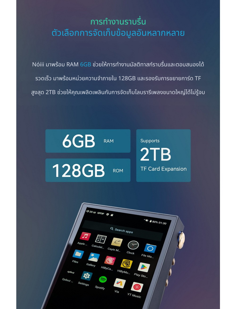 Cayin N6III + C201/E203/R202 เครื่องเล่นเสียงดิจิทัลคุณภาพระดับมาสเตอร์ เปลี่ยนบอร์ดเสียงได้ ประกันศูนย์ไทย