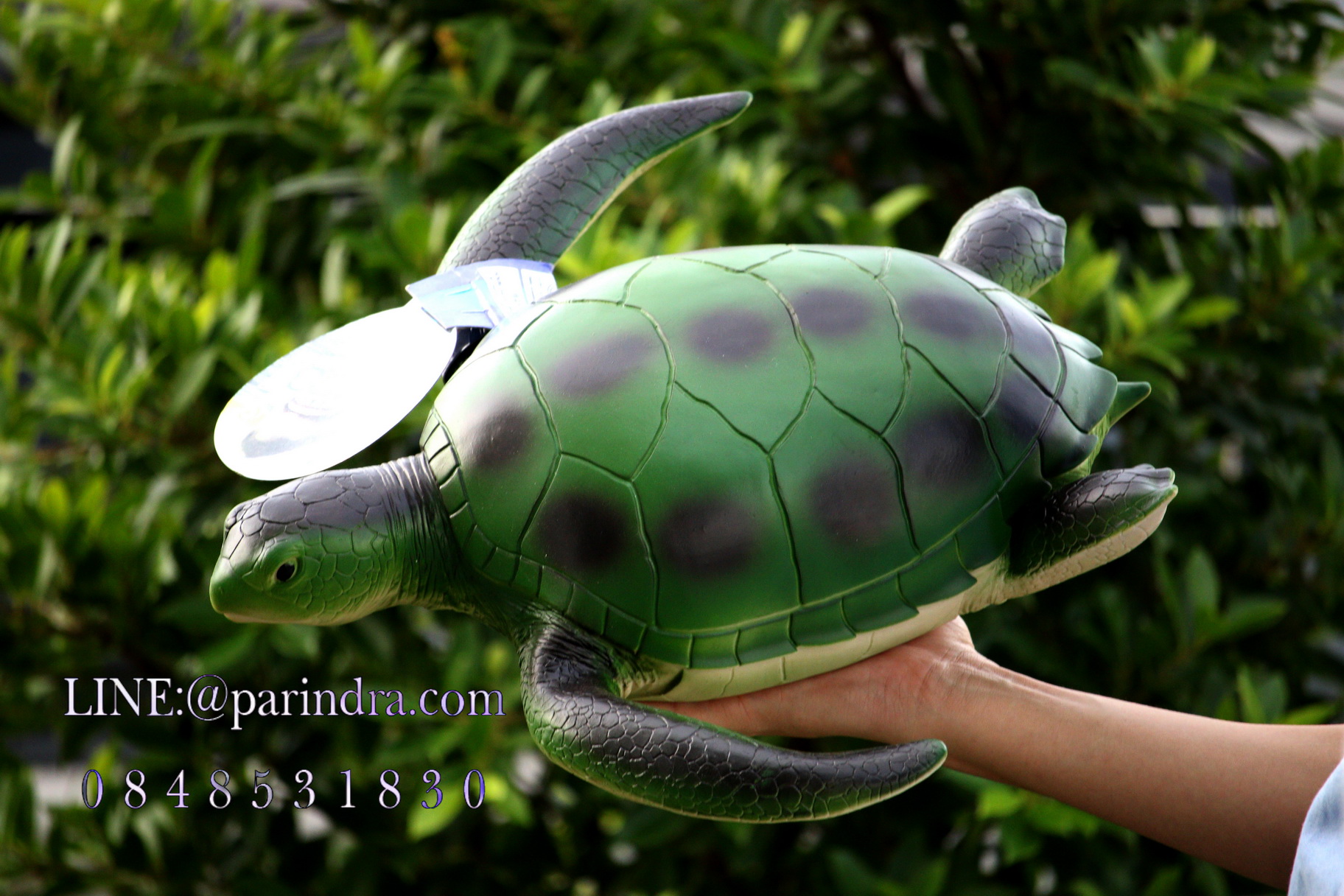 โมเดลเต่าทะเลสีเขียว ขนาด 15 นิ้ว ยางอ่อนนุ่มนิ่ม บีบได้