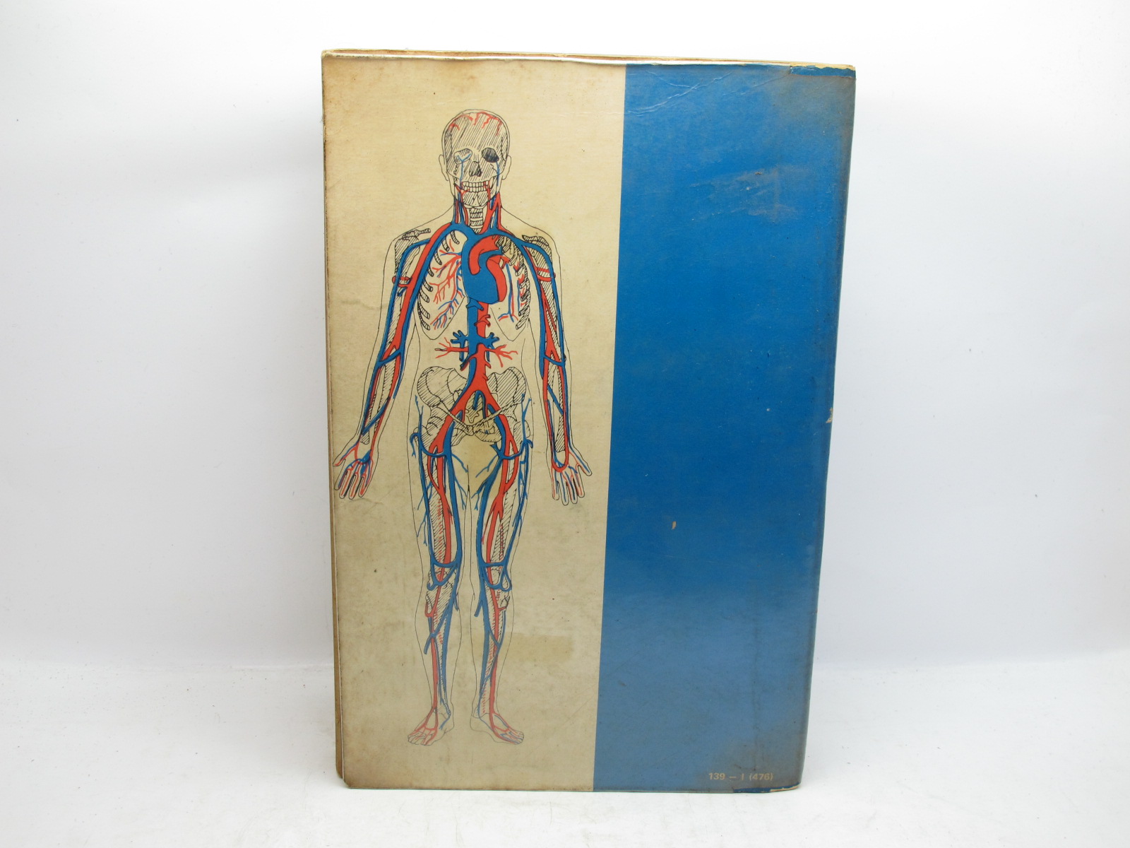 กายวิภาคศาสตร์ และ สรีระวิทยาของมนุษย์ Anatomy and Physiology