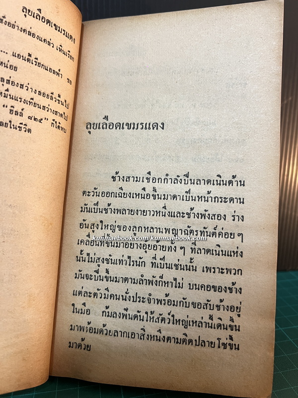 ลุยเลือดเขมรแดง โดย น่าน นฤบดินทร์