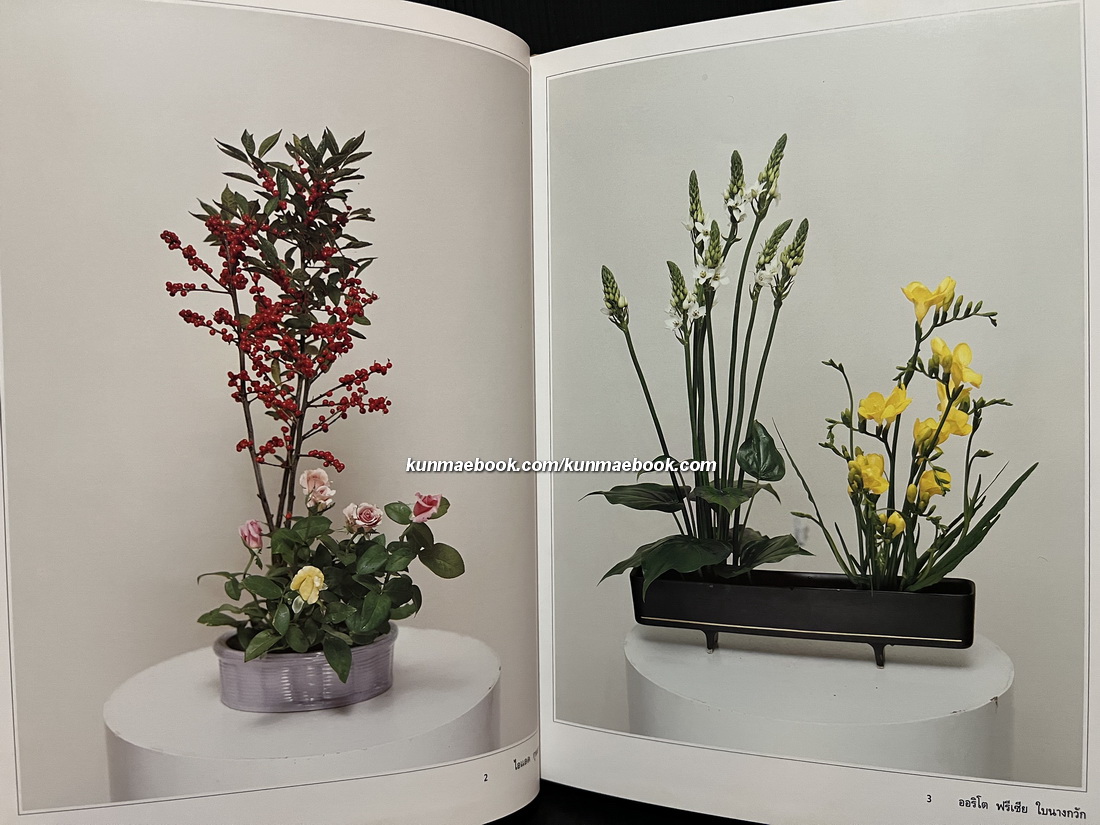 ดอกไม้แห่งแสงทิพย์ เล่ม 4 โดย ศาสนาจารย์ ซูรู วาคุกามิ