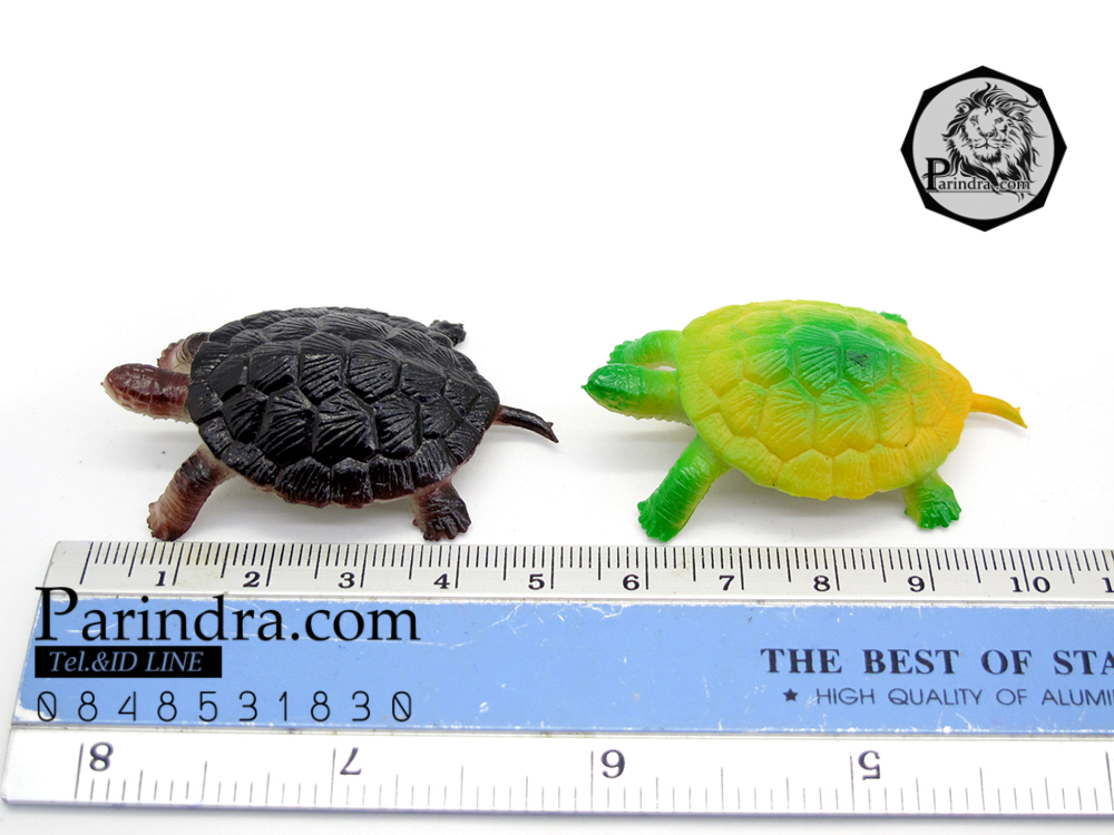 โมเดลเต่าญี่ปุ่น ชุดคู่สองตัว