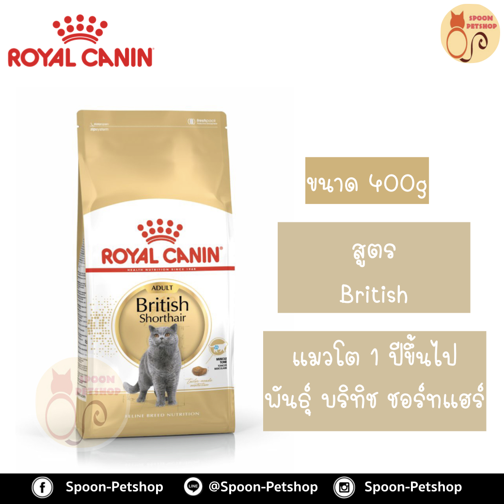 Royal Canin อาหารแมว โรยัล คานิน British Shorthair 34 แพ็คโรงงาน 0.4kg สำหรับ แมวโต สายพันธุ์ บริติช ชอร์ทแฮร์