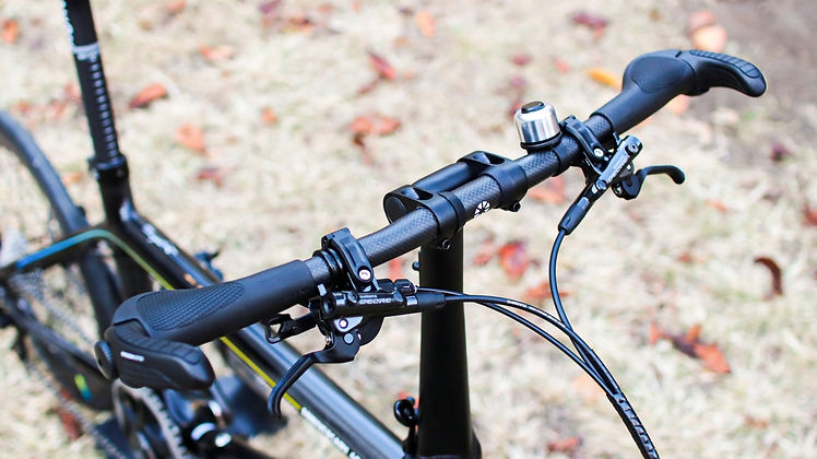 DAHON 40th Anniversary Mini Carbon Bike | Premium Folding Carbon Bike - Limited Edition