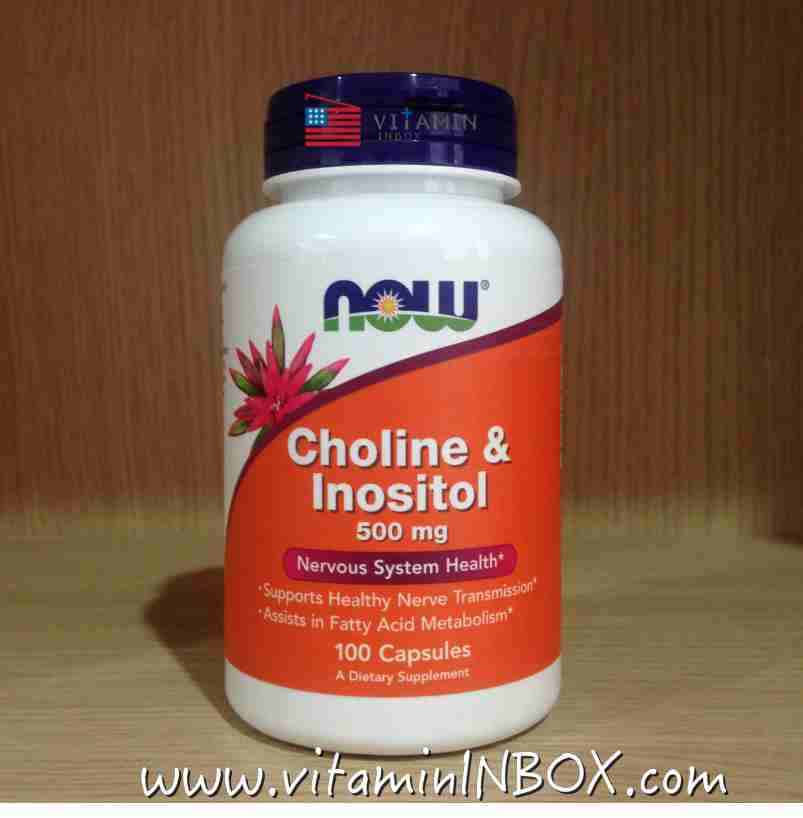 Now Foods, Choline & Inositol, 500 mg, 100 Capsules